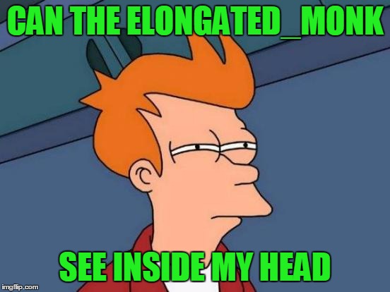 Futurama Fry Meme | CAN THE ELONGATED_MONK SEE INSIDE MY HEAD | image tagged in memes,futurama fry | made w/ Imgflip meme maker