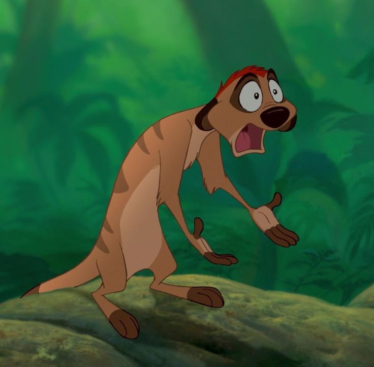 Timon everybody's OK Blank Meme Template