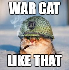 War cat  | WAR CAT; LIKE THAT | image tagged in war cat | made w/ Imgflip meme maker