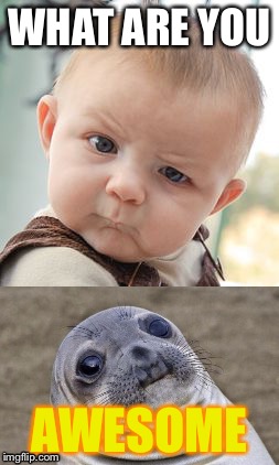 AWESOME SEAL | WHAT ARE YOU; AWESOME | image tagged in funny memes,memes | made w/ Imgflip meme maker