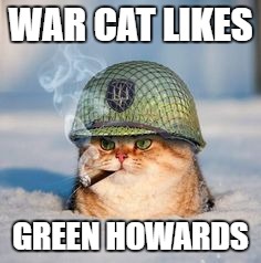 War cat  | WAR CAT LIKES; GREEN HOWARDS | image tagged in war cat | made w/ Imgflip meme maker