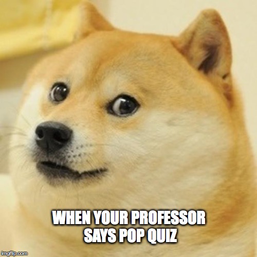 Doge Meme | WHEN YOUR PROFESSOR SAYS POP QUIZ | image tagged in memes,doge | made w/ Imgflip meme maker