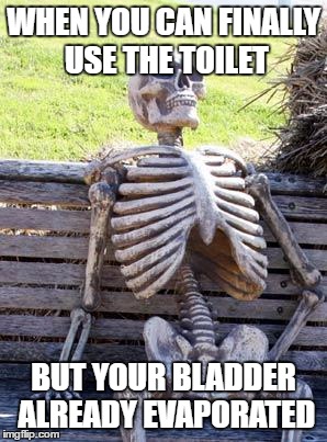 In the end pee doesn't even matter | WHEN YOU CAN FINALLY USE THE TOILET; BUT YOUR BLADDER ALREADY EVAPORATED | image tagged in pee,skeleton,toilet,bladder,waiting | made w/ Imgflip meme maker