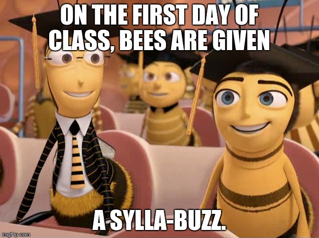 kill me | ON THE FIRST DAY OF CLASS, BEES ARE GIVEN; A SYLLA-BUZZ. | image tagged in bee movie | made w/ Imgflip meme maker