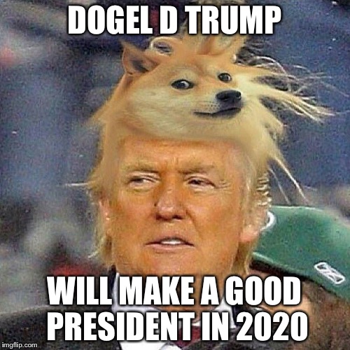 Dogel D Trump | DOGEL D TRUMP; WILL MAKE A GOOD PRESIDENT IN 2020 | image tagged in doge | made w/ Imgflip meme maker