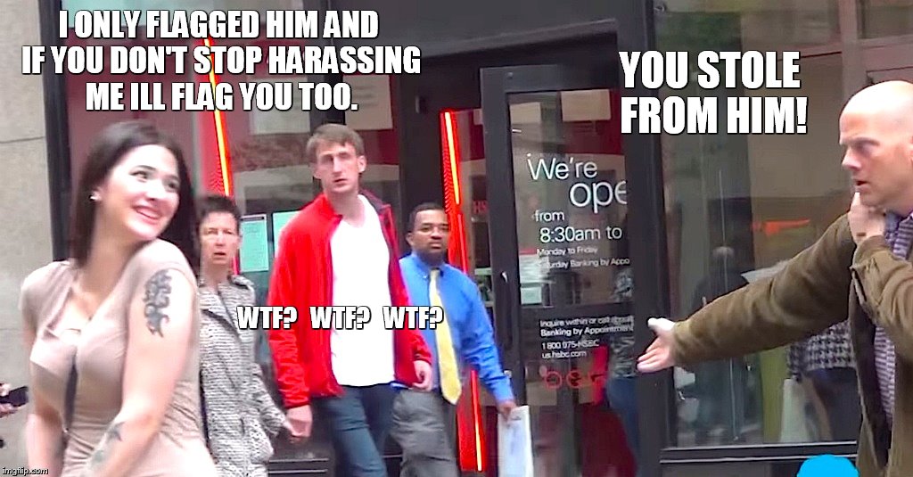 I ONLY FLAGGED HIM AND IF YOU DON'T STOP HARASSING ME ILL FLAG YOU TOO. YOU STOLE FROM HIM! WTF?   WTF?   WTF? | made w/ Imgflip meme maker