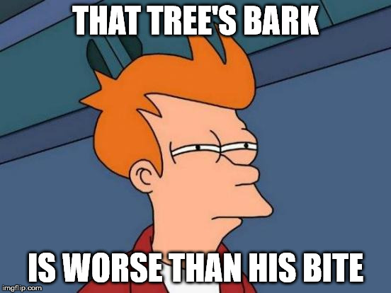 Futurama Fry Meme | THAT TREE'S BARK IS WORSE THAN HIS BITE | image tagged in memes,futurama fry | made w/ Imgflip meme maker