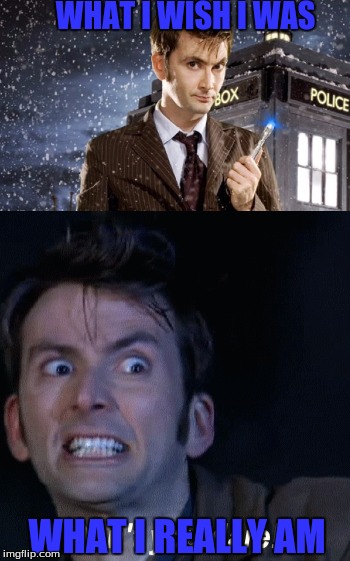 what i wish i was | WHAT I WISH I WAS; WHAT I REALLY AM | image tagged in david tennant | made w/ Imgflip meme maker