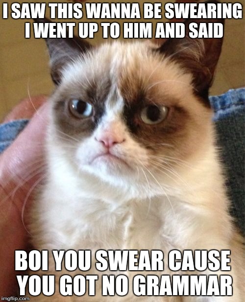 Grumpy Cat | I SAW THIS WANNA BE SWEARING I WENT UP TO HIM AND SAID; BOI YOU SWEAR CAUSE YOU GOT NO GRAMMAR | image tagged in memes,grumpy cat | made w/ Imgflip meme maker