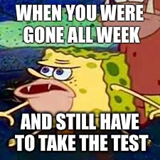 WHEN YOU WERE GONE ALL WEEK; AND STILL HAVE TO TAKE THE TEST | image tagged in caveman spongebob | made w/ Imgflip meme maker