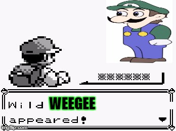 pokemon appears | WEEGEE | image tagged in pokemon appears | made w/ Imgflip meme maker