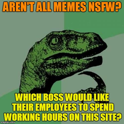 Philosoraptor | AREN'T ALL MEMES NSFW? WHICH BOSS WOULD LIKE THEIR EMPLOYEES TO SPEND WORKING HOURS ON THIS SITE? | image tagged in memes,philosoraptor | made w/ Imgflip meme maker