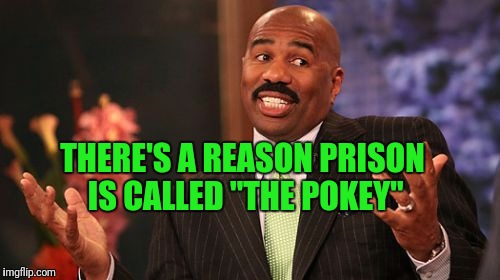 Steve Harvey Meme | THERE'S A REASON PRISON IS CALLED "THE POKEY" | image tagged in memes,steve harvey | made w/ Imgflip meme maker