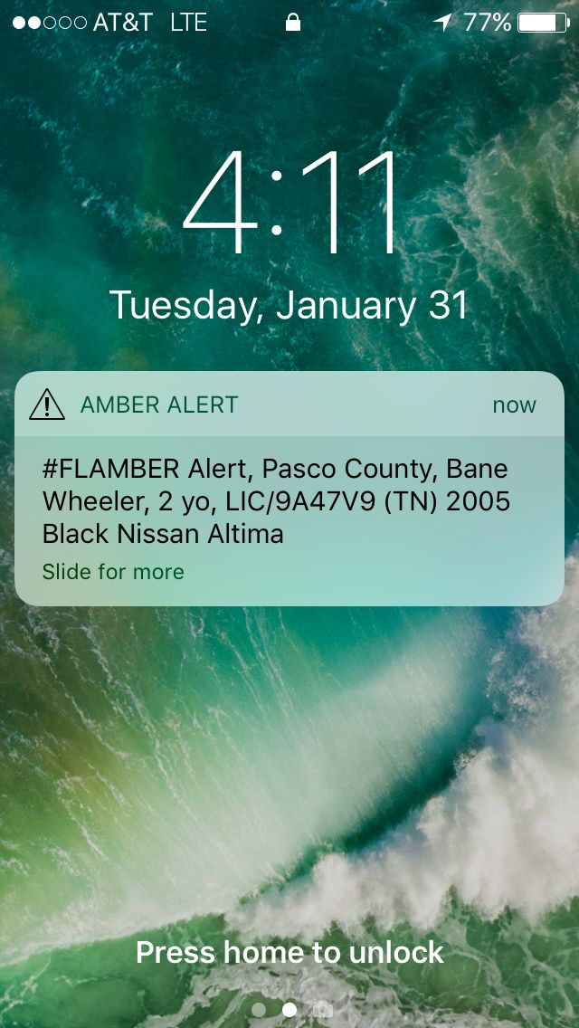 #Flamber alert Blank Meme Template