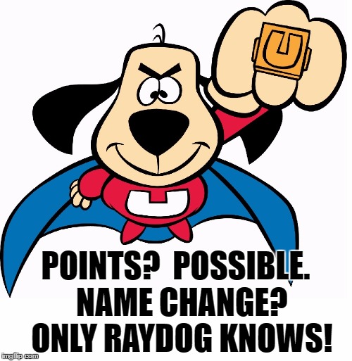 POINTS?  POSSIBLE.  NAME CHANGE?  ONLY RAYDOG KNOWS! | made w/ Imgflip meme maker