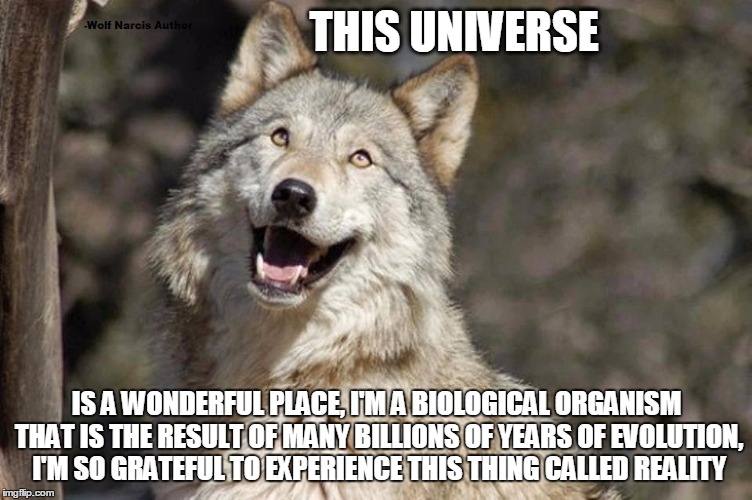 Optimistic Moon Moon Wolf Vanadium Wolf | THIS UNIVERSE; IS A WONDERFUL PLACE, I'M A BIOLOGICAL ORGANISM THAT IS THE RESULT OF MANY BILLIONS OF YEARS OF EVOLUTION, I'M SO GRATEFUL TO EXPERIENCE THIS THING CALLED REALITY | image tagged in optimistic moon moon wolf vanadium wolf | made w/ Imgflip meme maker