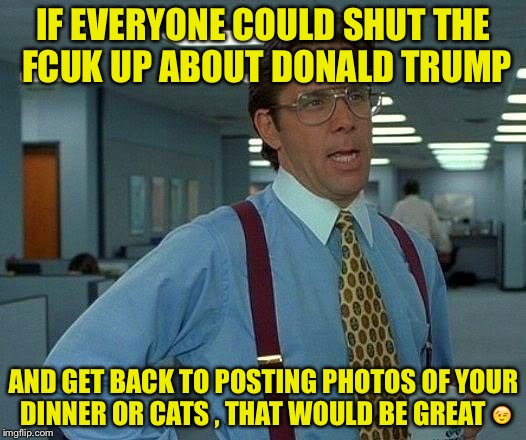 That Would Be Great Meme | IF EVERYONE COULD SHUT THE FCUK UP ABOUT DONALD TRUMP; AND GET BACK TO POSTING PHOTOS OF YOUR DINNER OR CATS , THAT WOULD BE GREAT 😉 | image tagged in memes,that would be great | made w/ Imgflip meme maker