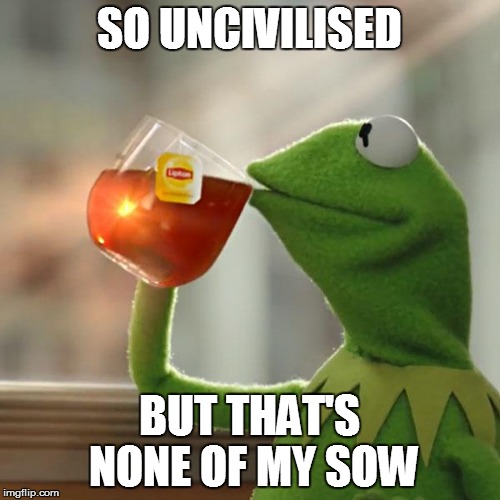 But That's None Of My Business Meme | SO UNCIVILISED BUT THAT'S NONE OF MY SOW | image tagged in memes,but thats none of my business,kermit the frog | made w/ Imgflip meme maker