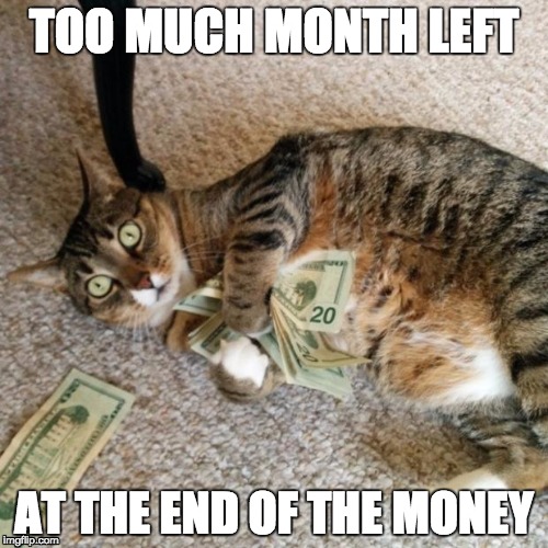 Sometimes there's too much MONTH left at the end of the MONEY | TOO MUCH MONTH LEFT; AT THE END OF THE MONEY | image tagged in money cat,poor,payday | made w/ Imgflip meme maker