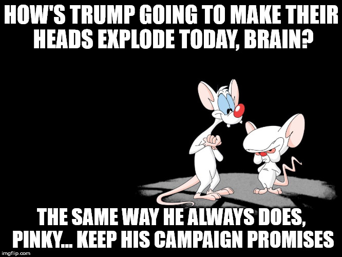 Pinky and the Brain Talk Trump | HOW'S TRUMP GOING TO MAKE THEIR HEADS EXPLODE TODAY, BRAIN? THE SAME WAY HE ALWAYS DOES, PINKY... KEEP HIS CAMPAIGN PROMISES | image tagged in pinky and the brain,politics | made w/ Imgflip meme maker