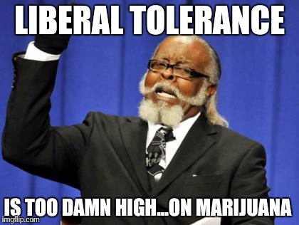 Too Damn High Meme | LIBERAL TOLERANCE IS TOO DAMN HIGH...ON MARIJUANA | image tagged in memes,too damn high | made w/ Imgflip meme maker