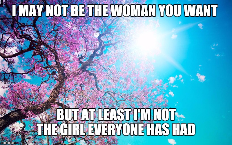 Pretty pretty | I MAY NOT BE THE WOMAN YOU WANT; BUT AT LEAST I'M NOT THE GIRL EVERYONE HAS HAD | image tagged in pretty pretty | made w/ Imgflip meme maker