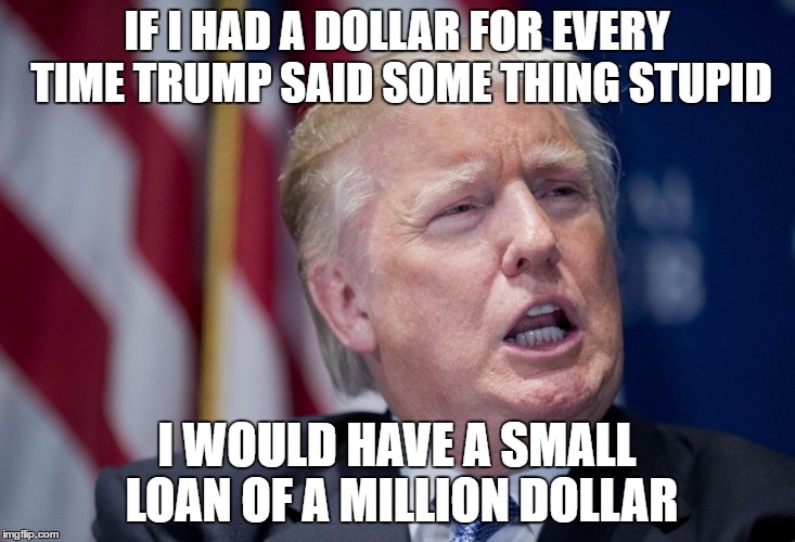 Donald Trump Derp | IF I HAD A DOLLAR FOR EVERY TIME TRUMP SAID SOME THING STUPID; I WOULD HAVE A SMALL LOAN OF A MILLION DOLLAR | image tagged in donald trump derp | made w/ Imgflip meme maker