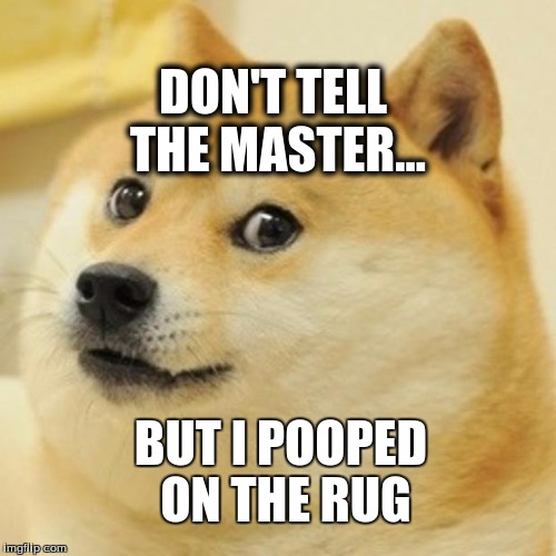 Doge | DON'T TELL THE MASTER... BUT I POOPED ON THE RUG | image tagged in memes,doge | made w/ Imgflip meme maker