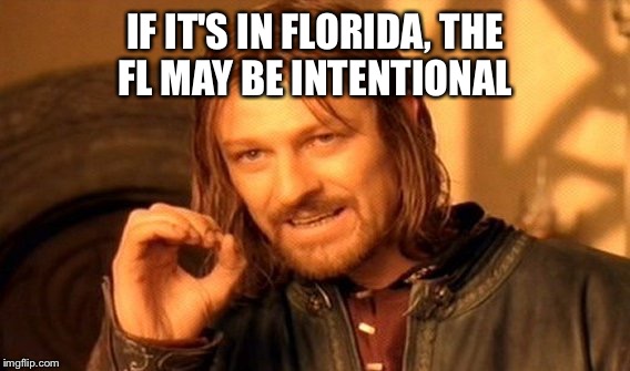 One Does Not Simply Meme | IF IT'S IN FLORIDA, THE FL MAY BE INTENTIONAL | image tagged in memes,one does not simply | made w/ Imgflip meme maker