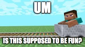 they see me rolling minecraft | UM; IS THIS SUPPOSED TO BE FUN? | image tagged in they see me rolling minecraft | made w/ Imgflip meme maker