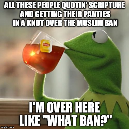 But That's None Of My Business | ALL THESE PEOPLE QUOTIN' SCRIPTURE AND GETTING THEIR PANTIES IN A KNOT OVER THE MUSLIM BAN; I'M OVER HERE LIKE "WHAT BAN?" | image tagged in memes,but thats none of my business,kermit the frog | made w/ Imgflip meme maker