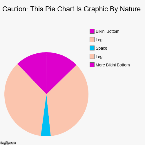 I Hope This Pie Chart Is Suitable | image tagged in funny,pie charts,beach,bikini bottom | made w/ Imgflip chart maker