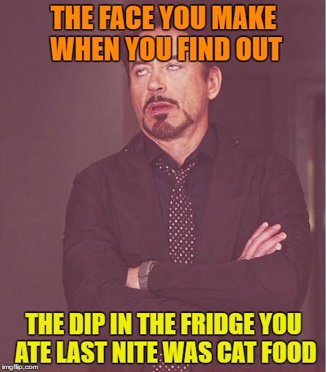 Face You Make Robert Downey Jr Meme | THE FACE YOU MAKE WHEN YOU FIND OUT; THE DIP IN THE FRIDGE YOU ATE LAST NITE WAS CAT FOOD | image tagged in memes,face you make robert downey jr | made w/ Imgflip meme maker