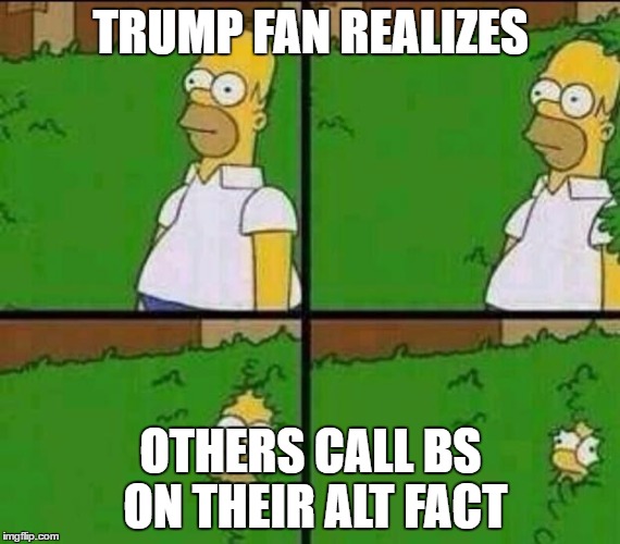 Homer Simpson in Bush - Large | TRUMP FAN REALIZES; OTHERS CALL BS ON THEIR ALT FACT | image tagged in homer simpson in bush - large | made w/ Imgflip meme maker