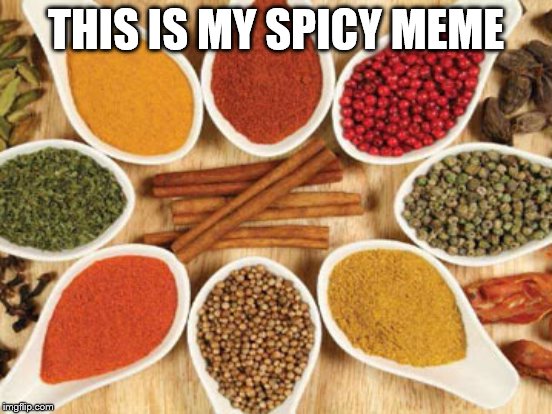 THIS IS MY SPICY MEME | made w/ Imgflip meme maker