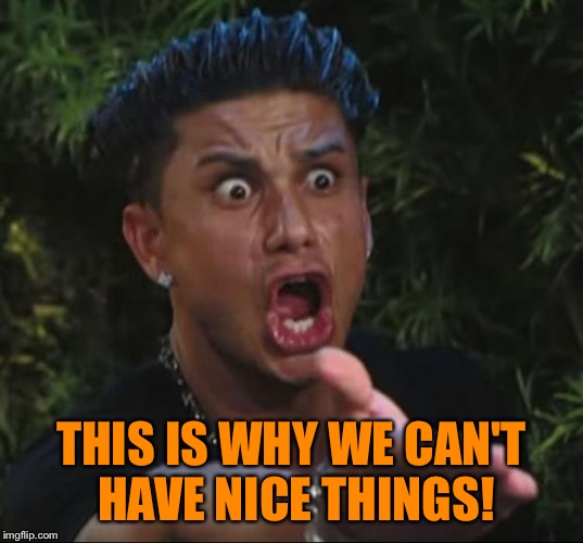 Pauly | THIS IS WHY WE CAN'T HAVE NICE THINGS! | image tagged in pauly | made w/ Imgflip meme maker