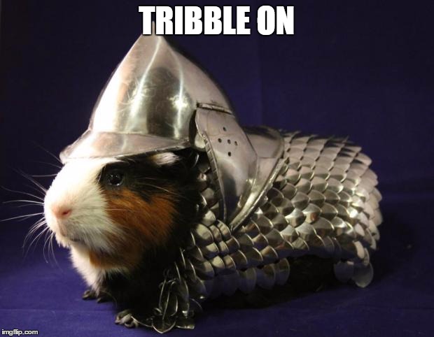 Guinea Pig | TRIBBLE ON | image tagged in guinea pig | made w/ Imgflip meme maker