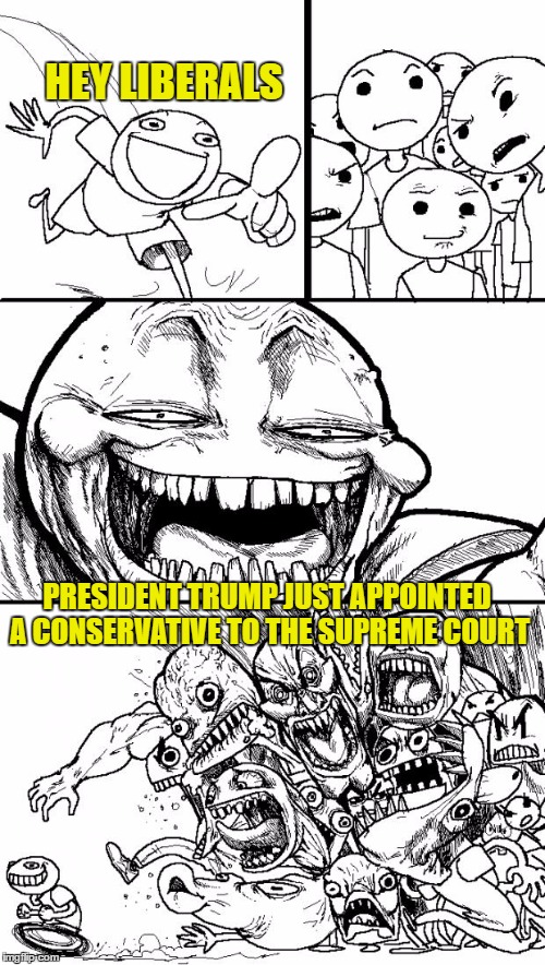 Hey Internet Meme | HEY LIBERALS; PRESIDENT TRUMP JUST APPOINTED A CONSERVATIVE TO THE SUPREME COURT | image tagged in memes,hey internet | made w/ Imgflip meme maker