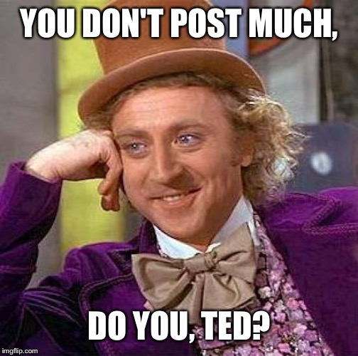 Creepy Condescending Wonka Meme | YOU DON'T POST MUCH, DO YOU, TED? | image tagged in memes,creepy condescending wonka | made w/ Imgflip meme maker