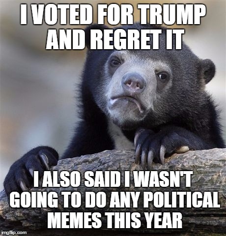 Confession Bear | I VOTED FOR TRUMP AND REGRET IT; I ALSO SAID I WASN'T GOING TO DO ANY POLITICAL MEMES THIS YEAR | image tagged in memes,confession bear | made w/ Imgflip meme maker