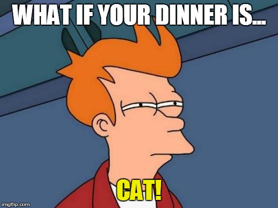 Futurama Fry Meme | WHAT IF YOUR DINNER IS... CAT! | image tagged in memes,futurama fry | made w/ Imgflip meme maker