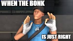 when the bonk is just right | WHEN THE BONK; IS JUST RIGHT | image tagged in when the bonk is just right | made w/ Imgflip meme maker