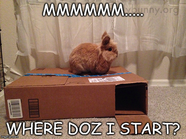 Box | MMMMMM..... WHERE DOZ I START? | image tagged in memes | made w/ Imgflip meme maker