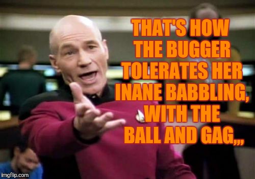 Picard Wtf Meme | THAT'S HOW THE BUGGER TOLERATES HER INANE BABBLING, WITH THE  BALL AND GAG,,, | image tagged in memes,picard wtf | made w/ Imgflip meme maker