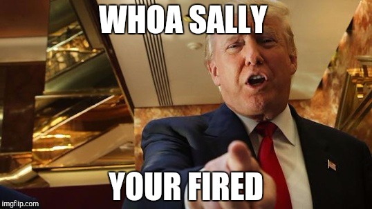 Donald Trump: You're fired | WHOA SALLY; YOUR FIRED | image tagged in donald trump you're fired | made w/ Imgflip meme maker