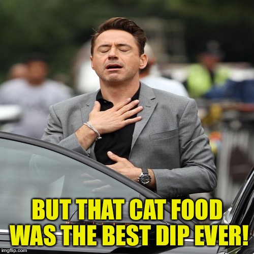 BUT THAT CAT FOOD WAS THE BEST DIP EVER! | made w/ Imgflip meme maker