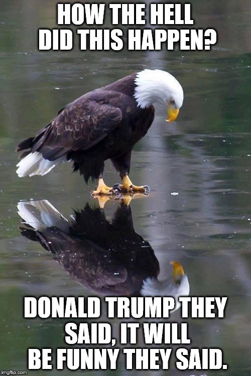 HOW THE HELL DID THIS HAPPEN? DONALD TRUMP THEY SAID, IT WILL BE FUNNY THEY SAID. | image tagged in american eagle | made w/ Imgflip meme maker