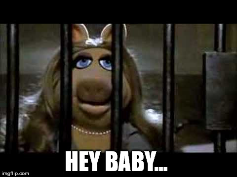 I'm in FaceBook Jail - gotta work on the guards | HEY BABY... | image tagged in miss piggy,jail | made w/ Imgflip meme maker