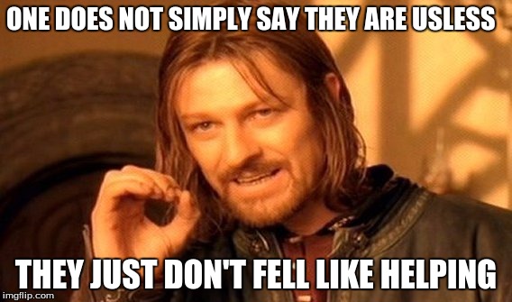 you
 | ONE DOES NOT SIMPLY SAY THEY ARE USLESS; THEY JUST DON'T FELL LIKE HELPING | image tagged in memes,one does not simply | made w/ Imgflip meme maker