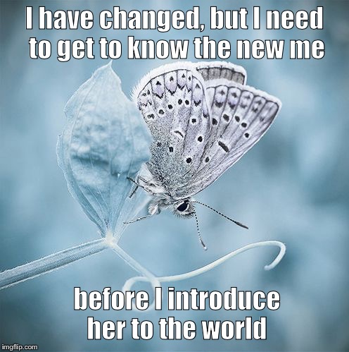 I have changed, but I need to get to know the new me; before I introduce her to the world | image tagged in i have changed | made w/ Imgflip meme maker